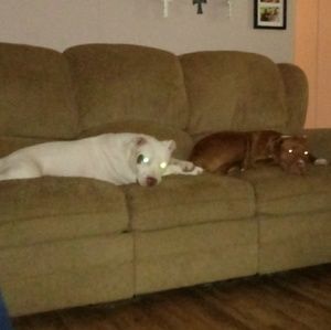 Meet your Posher, Kay